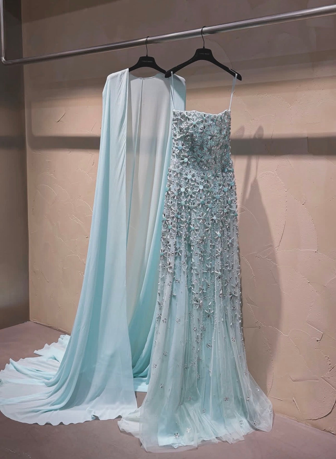 Celestia Veil Gown